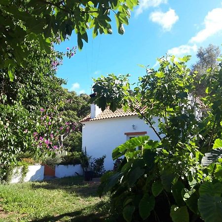 مونشيك Quinta Algarve Das Relvinhas المظهر الخارجي الصورة