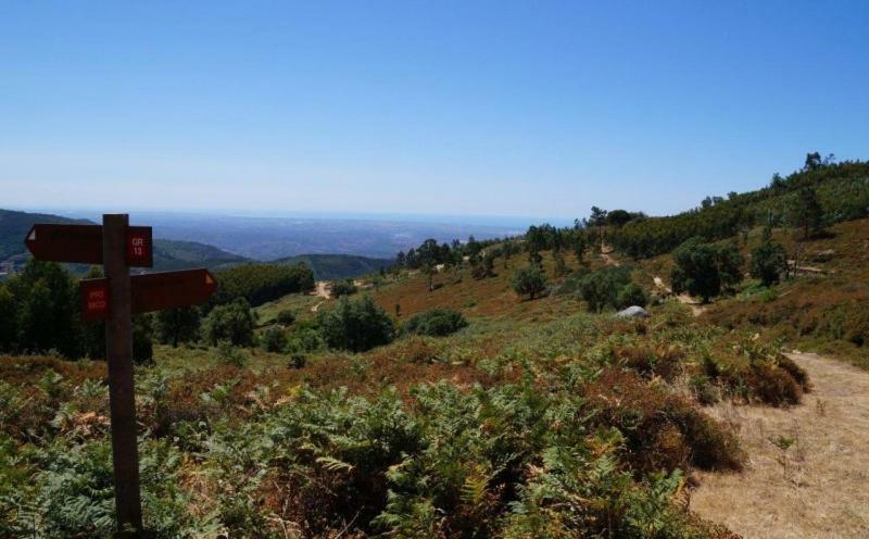 مونشيك Quinta Algarve Das Relvinhas المظهر الخارجي الصورة