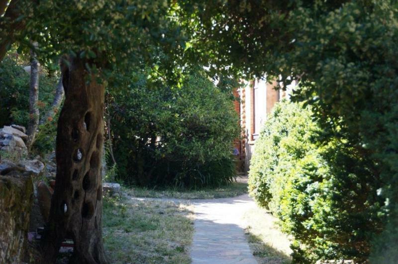 مونشيك Quinta Algarve Das Relvinhas المظهر الخارجي الصورة